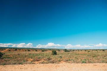 Wild landscape, South Africa