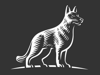 Shepherd dog, vector illustration