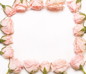 frame of pink flowers on white background.