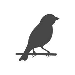 Birds icon - vector Illustration 