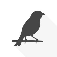 Birds icon - vector Illustration with long shadow