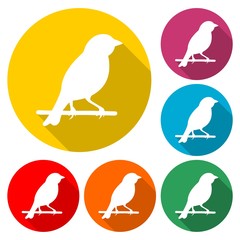 Birds icon - vector Illustration with long shadow