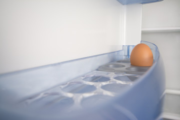 Fototapeta na wymiar Just one egg in an empty fridge.