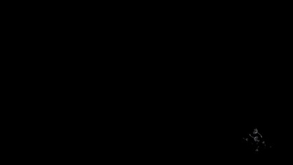 Rotating Dandelion  Fluff  Flight -   Slow Animation