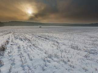 Obraz premium Winter snowy fields and foggy day