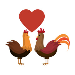 chicken animal farm icon vector illustration design