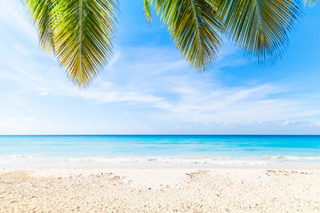 Dominican republic, Saona island beach