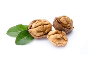 Walnut and walnut kernel isolated on the white background.