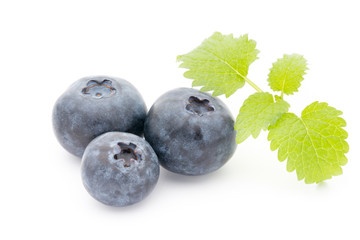 Group of fresh juisy blueberries isolated on white background.