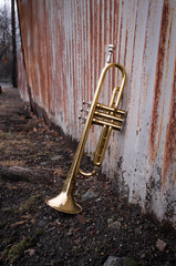 Fototapeta na wymiar Trumpet Rusty Fence
