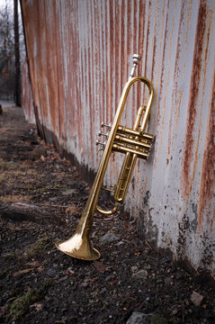 Trumpet Rusty Fence