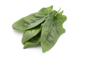 Fresh leaves of spinach on the white background.