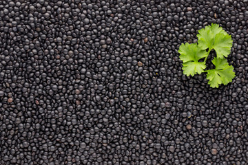 Food and cookery background of healthy dried  black lentils.