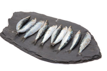 Sardines