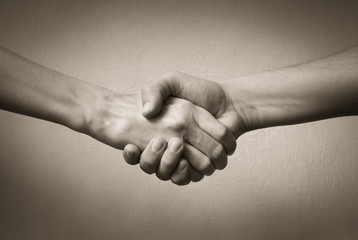 Hand shake. Making a deal. 