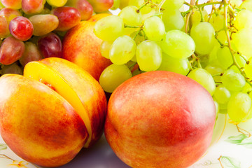still life of fruits