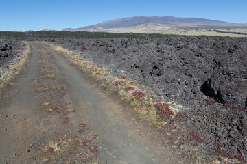 Mauna Kea, Hawaii, USA, Observatorium, Sternwarte, Berge, Big Island
