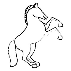 Fototapeta na wymiar horse animal icon over white background. vector illustration