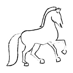 horse animal icon over white background. vector illustration