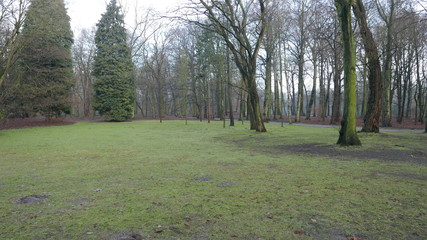 A park in Antwerp