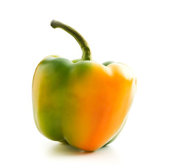 Multicolored bell pepper.