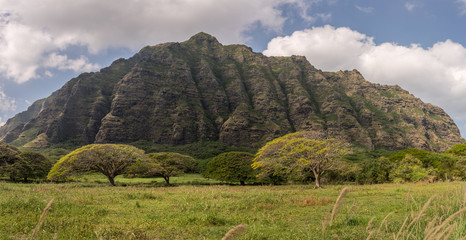 Hawaii, Oahu, Honolulu, Jurassic Park, Kualoa Ranch, Berge, Küste, Ostküste, Panorama