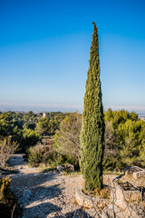 Vue depuis le moulin Saint-Pierre d'Alphonse Daudet