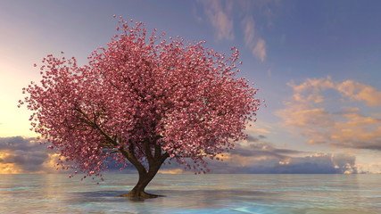 Naklejka na ściany i meble 桜の木