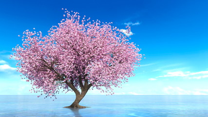 桜の木 © tsuneomp