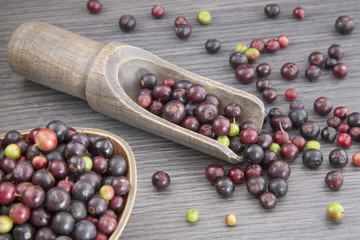 Agraz tropical fruit (Vaccinium meridionale)