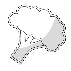 broccoli vegetable icon over white background. vector illustration