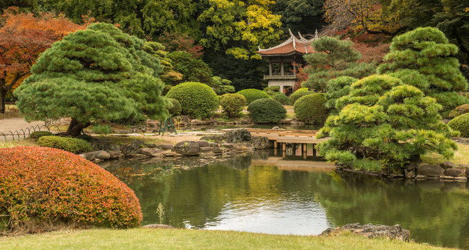 Japanese garden in Tokyo