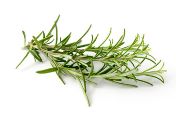 Fototapeta premium Rosmarin