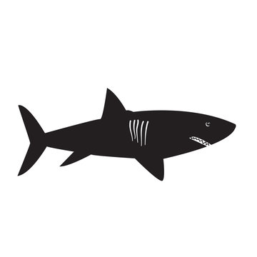 Shark black symbol on the white