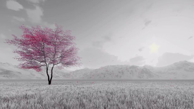 Monochrome fantasy spring landscape with single pink blossoming sakura cherry tree and flower petals falling in slow motion against hazy mountains background. 3D animation rendered in 4K