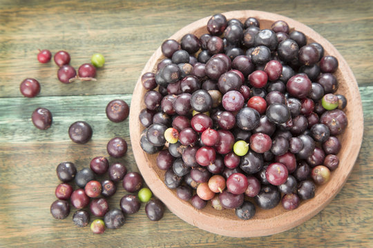 Agraz tropical fruit (Vaccinium meridionale)