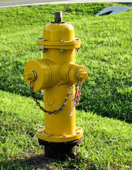 Hydrant, Feuerwehr, USA, löschen, retten