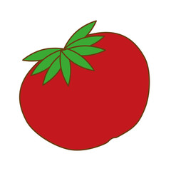 tomato vegetable icon over white background. colorful design. vector illustration