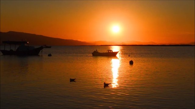 Fishing boat on the sea at sunset in Izmir - Turkey. Pelicans and seagulls swimming on the sea, silhouette.