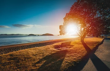 Foto op Plexiglas Nieuw-Zeeland Zonsopgang vanaf Te Ti Bay, Paihia, Nieuw-Zeeland