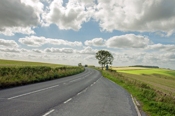 Fototapeta na wymiar Country road in the Dorset countryside.