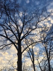 Obraz na płótnie Canvas early morning sky in winter