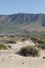 Green lava landscape on Lanzarote