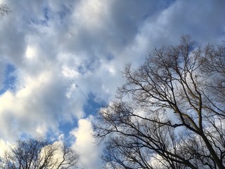 early morning clouds in winter