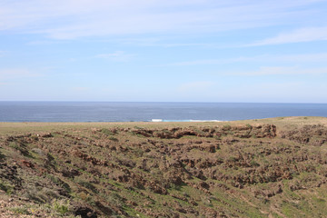 Green lava landscape on Lanzarote