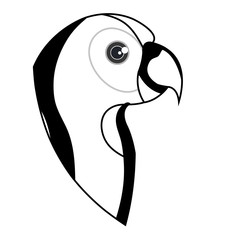 cute parrot pet icon vector illustration design
