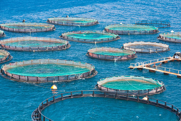 Fish farm in the sea. View from mountain. Floating fish farm and breeding fry in trays grids. Corfu...