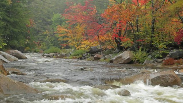 Pan of the Swift River on a rainy autumn day in the White Mountains of New Hampshire.