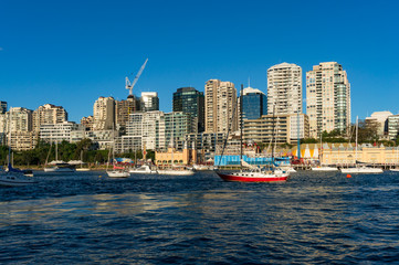 Sydney cityscape of Milsons point and Lavender bay