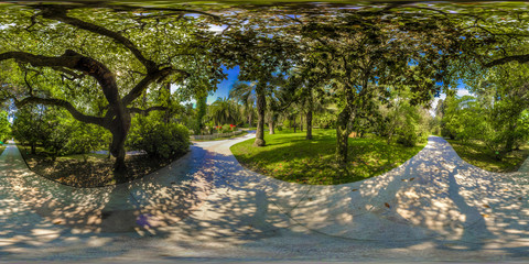 Beatiful view of arboretum and Nature (Dendrarium)